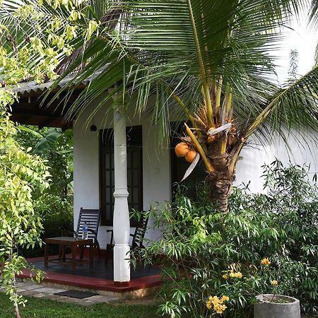 Bay Hill Guest House Tangalle Exteriér fotografie