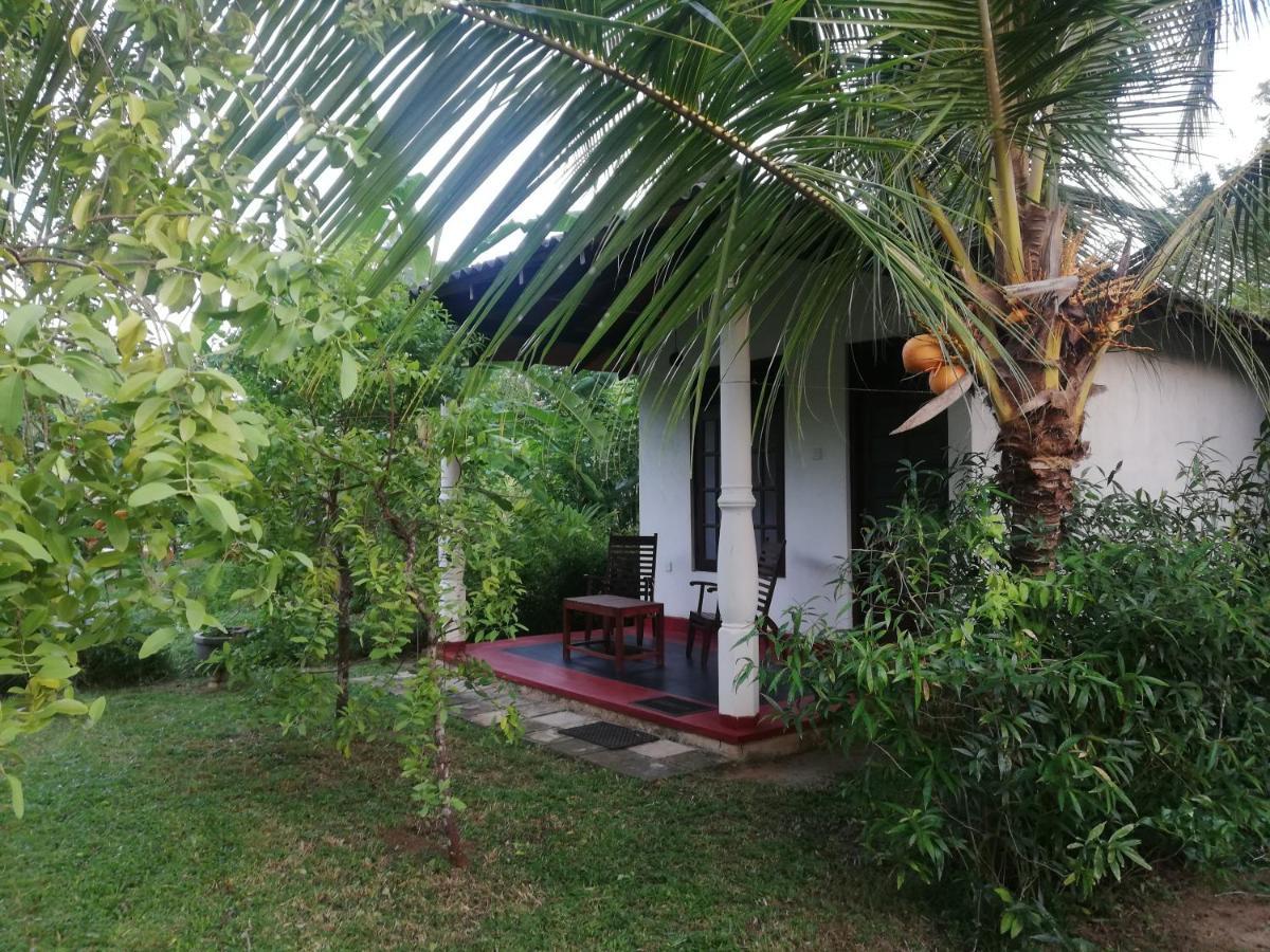 Bay Hill Guest House Tangalle Exteriér fotografie