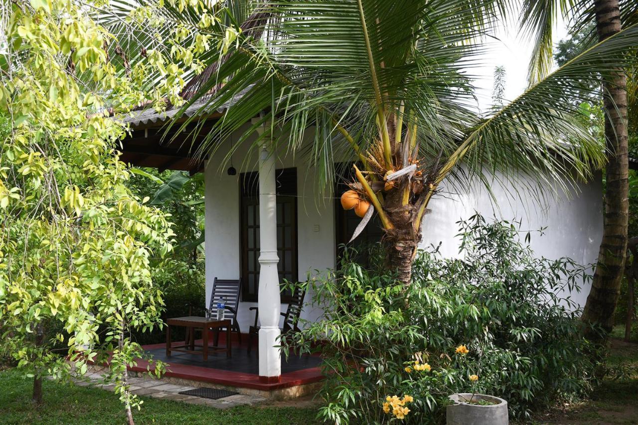Bay Hill Guest House Tangalle Exteriér fotografie