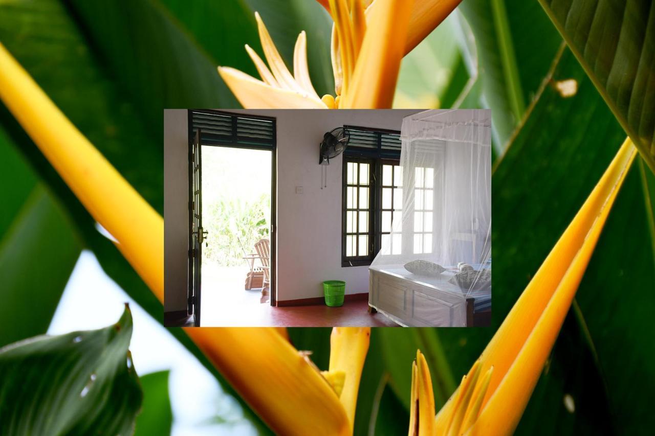 Bay Hill Guest House Tangalle Exteriér fotografie