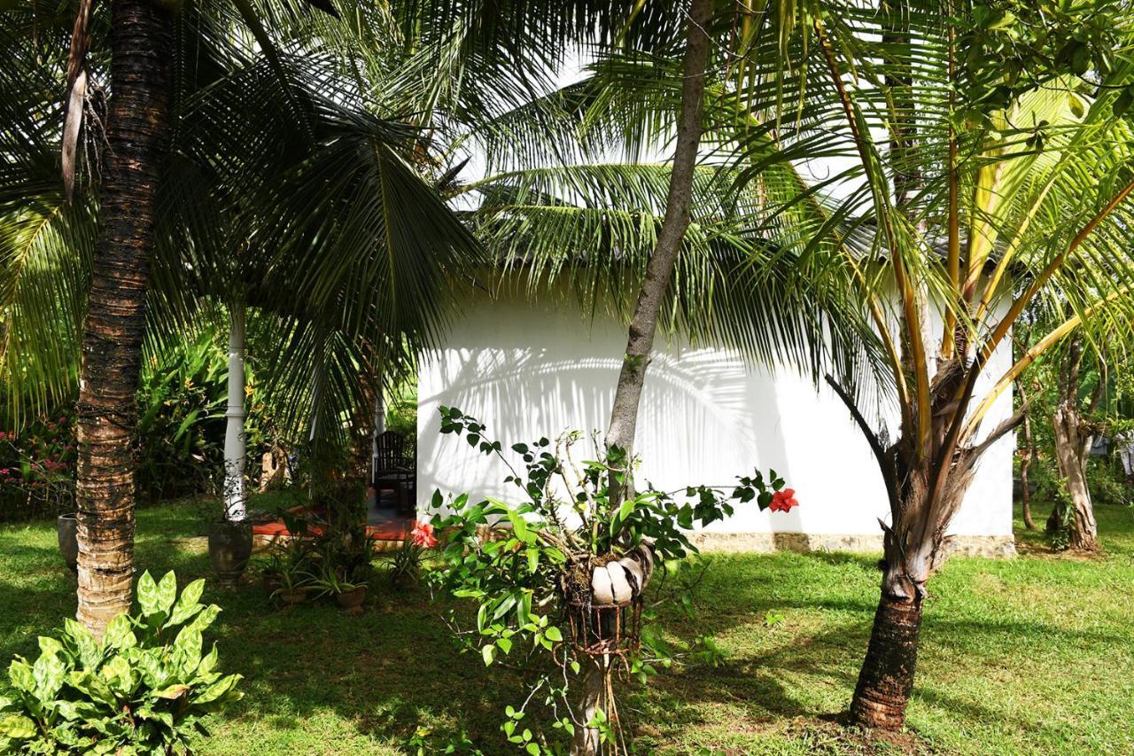 Bay Hill Guest House Tangalle Exteriér fotografie